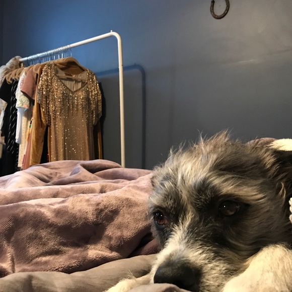 Hi, I’m Haylee! - Picture 5 of 7